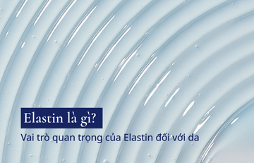 Elastin