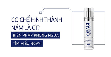 Cơ Chế Hình Thành Nám Là Gì? Tìm Hiểu Biện Pháp Phòng Ngừa